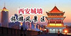 音音操逼裹乳头中国陕西-西安城墙旅游风景区